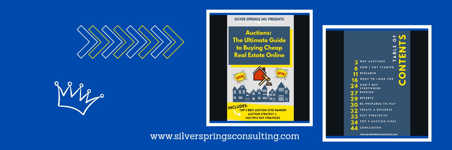 SilverInvests's profile banner image