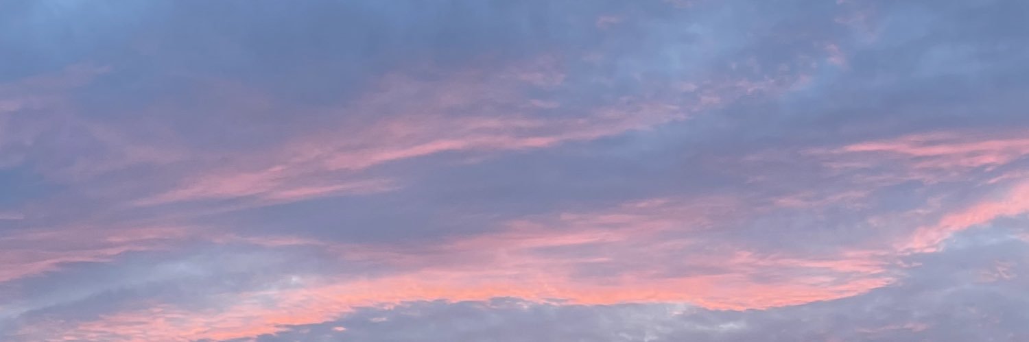 ___tiroru's profile banner image