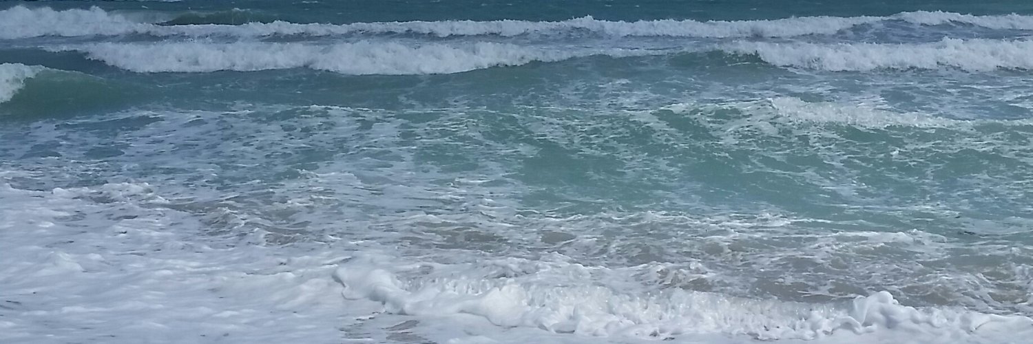 litanavisionary's profile banner image