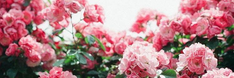 rubyreynolds's profile banner image