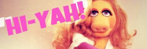 bimbo thee clown 🕵🏻‍♀️ banner