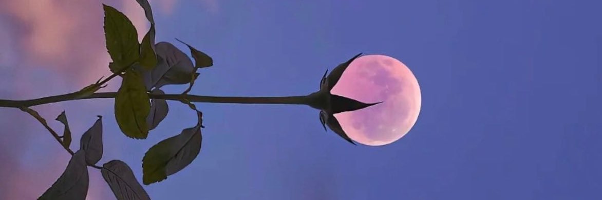 juliafbmmoura's profile banner image