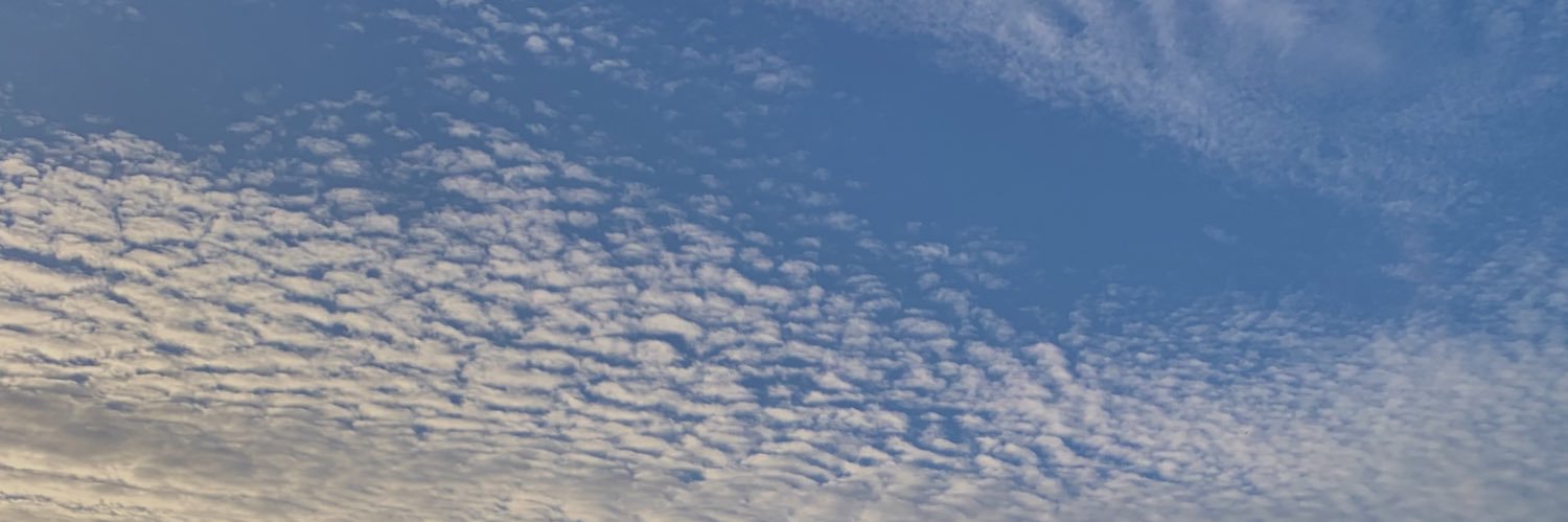 Ali_Lcz's profile banner image
