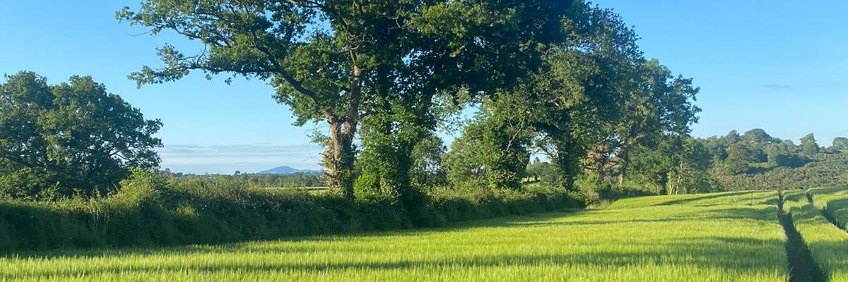 Wheel0ck's profile banner image