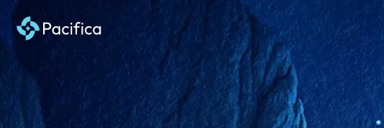 pacifica_maxi's profile banner image