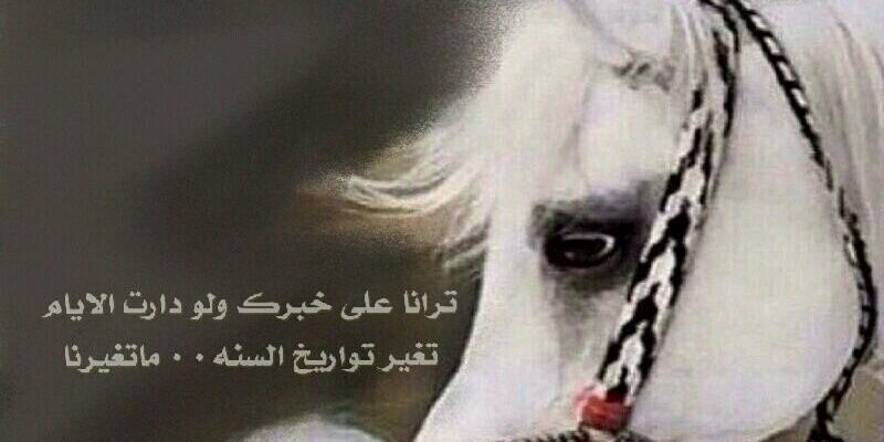 e8a1462274b44a0's profile banner image