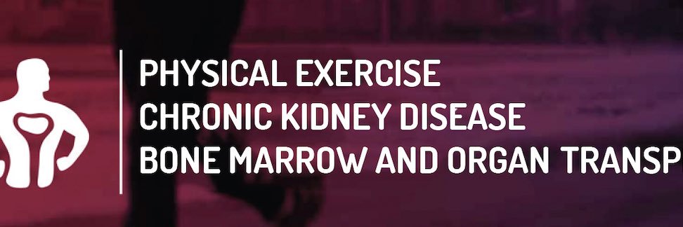 Sonsoles Hernández, PhD banner