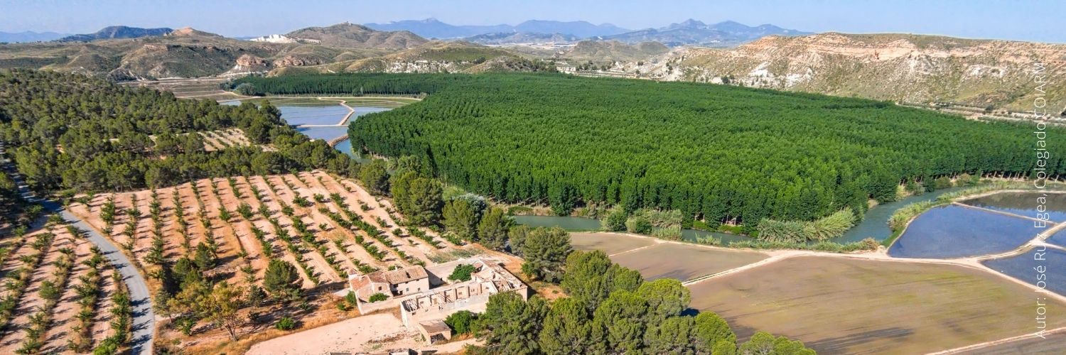 C.O.Ing. Agro Murcia banner