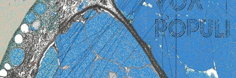 VoxPopuliRecord's profile banner image