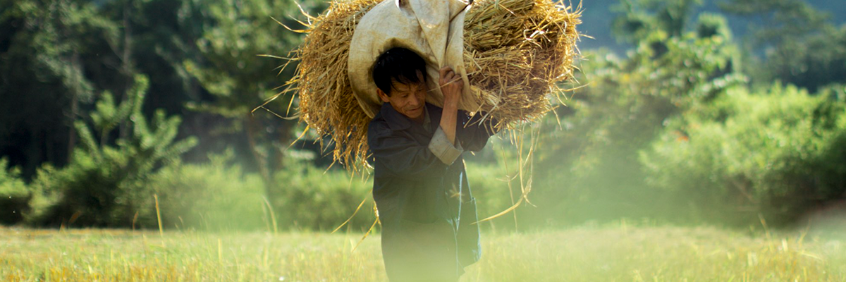 ndeg_SEA's profile banner image