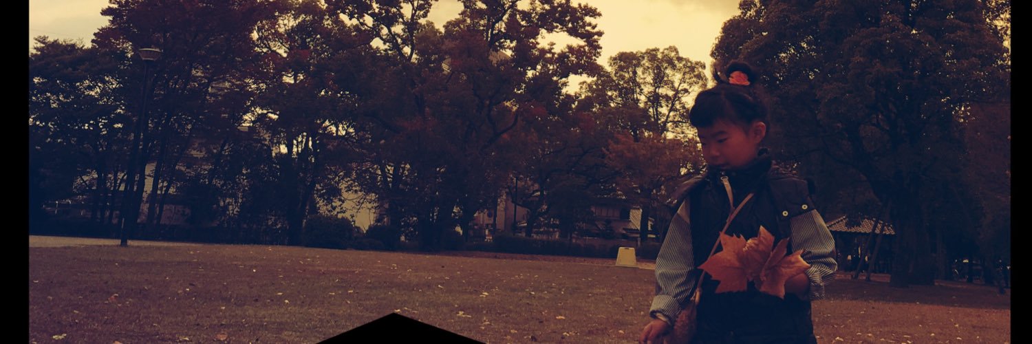 zone_rom's profile banner image