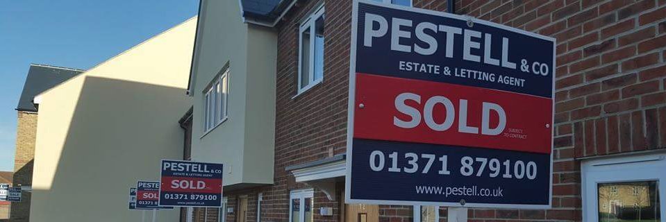 PestellDunmow's profile banner image