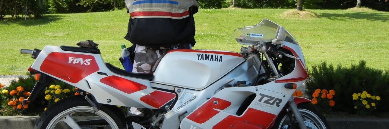 そあらにゅー banner