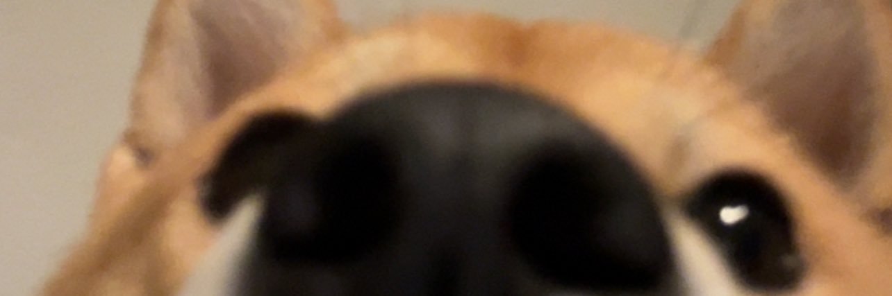 rogiido's profile banner image