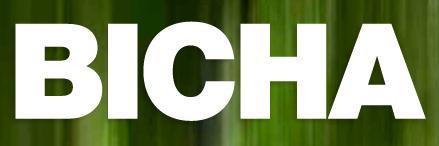 BichaGallery's profile banner image