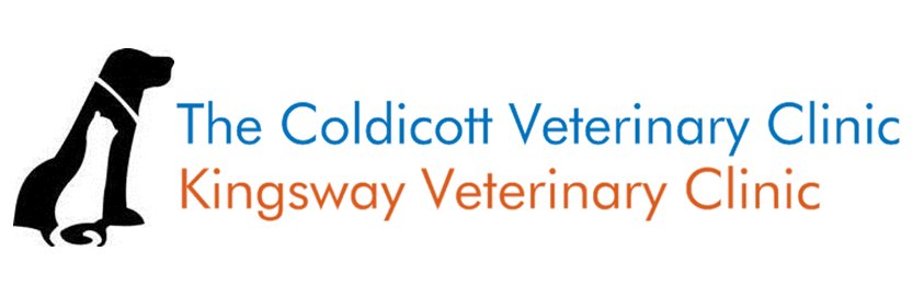 ColdicottVet's profile banner image