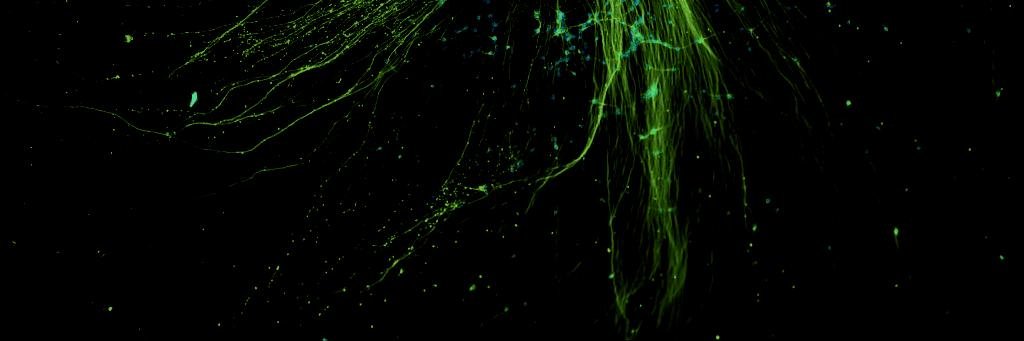 0099u's profile banner image