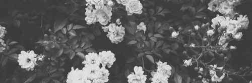 KaitlenReneee's profile banner image