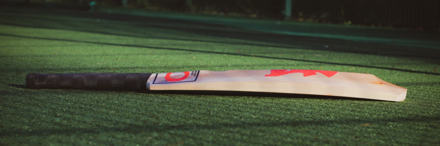 crickettees's profile banner image