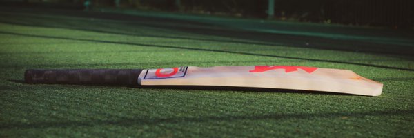 crickettees Profile Banner