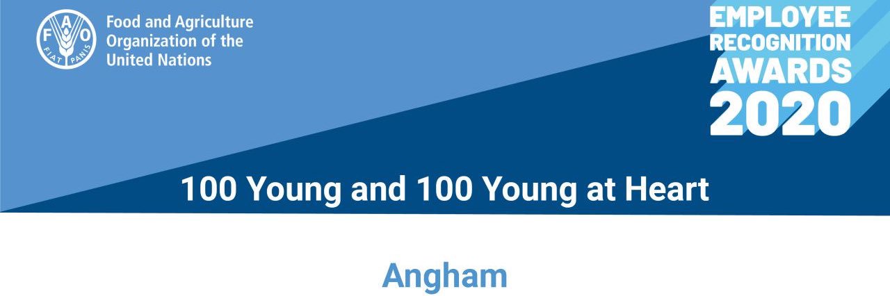 noga_hamdy's profile banner image