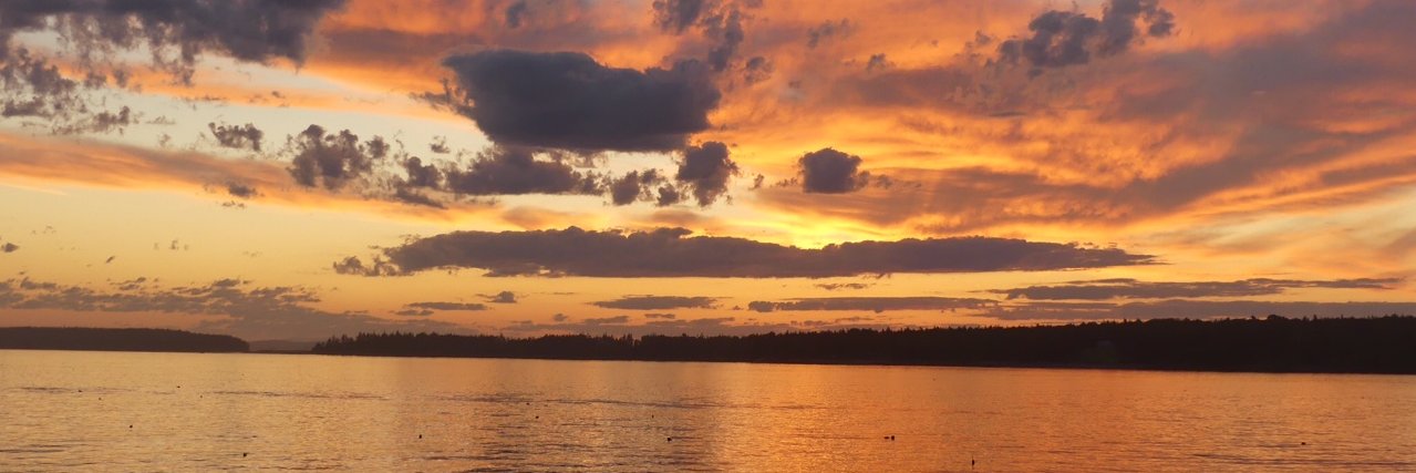 Chelsea Lantos-Swett Hedquist banner