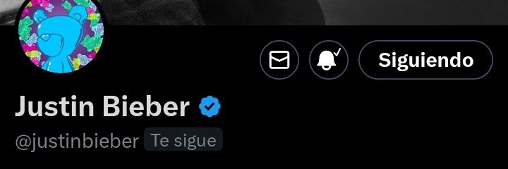 biebsxoz's profile banner image