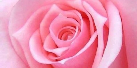 S1980Sadam's profile banner image