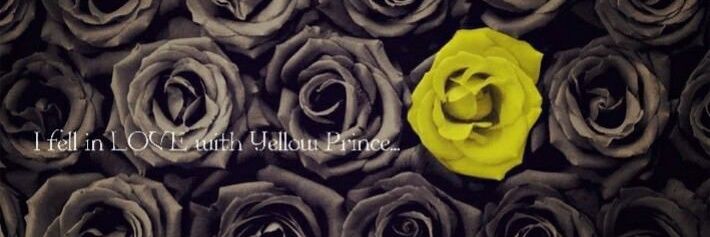 nanami_f_nr's profile banner image