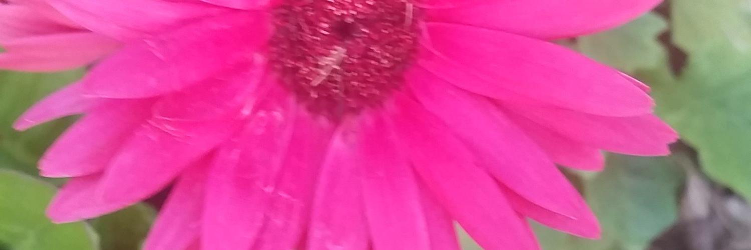 HeatherRobotham's profile banner image