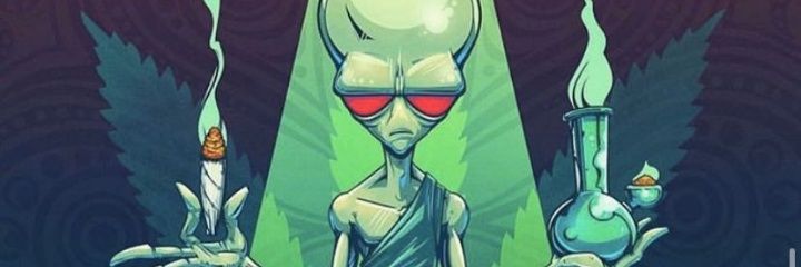 wonk537's profile banner image