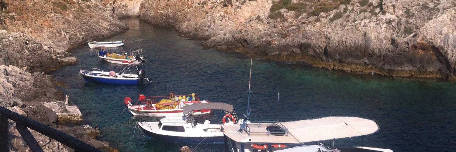 Peter Thanopoulos banner
