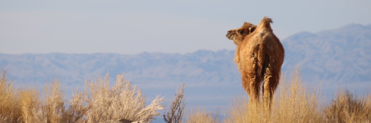 Bridget Johnson banner