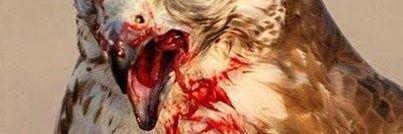 ft5577's profile banner image