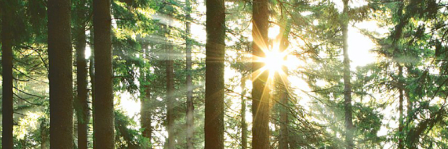 EJCollaborative's profile banner image
