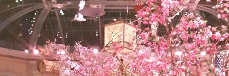 rogeria_pardal's profile banner image