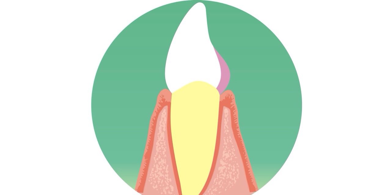 Cingulum2014's profile banner image