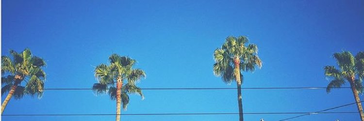 katsjac_'s profile banner image