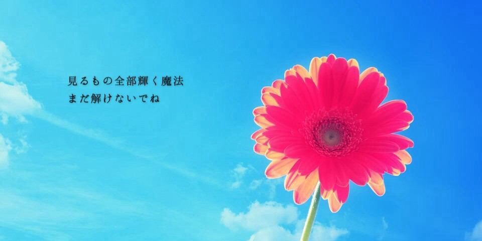 Candy_sweet_lov's profile banner image