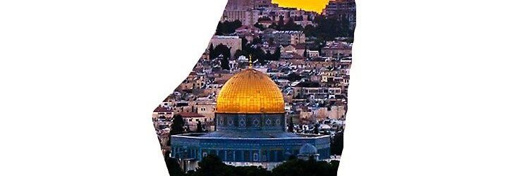 riadalshmri's profile banner image