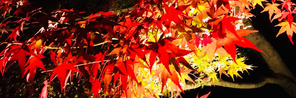 takeuchi5270's profile banner image