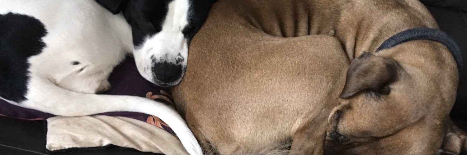 HopeHammond's profile banner image