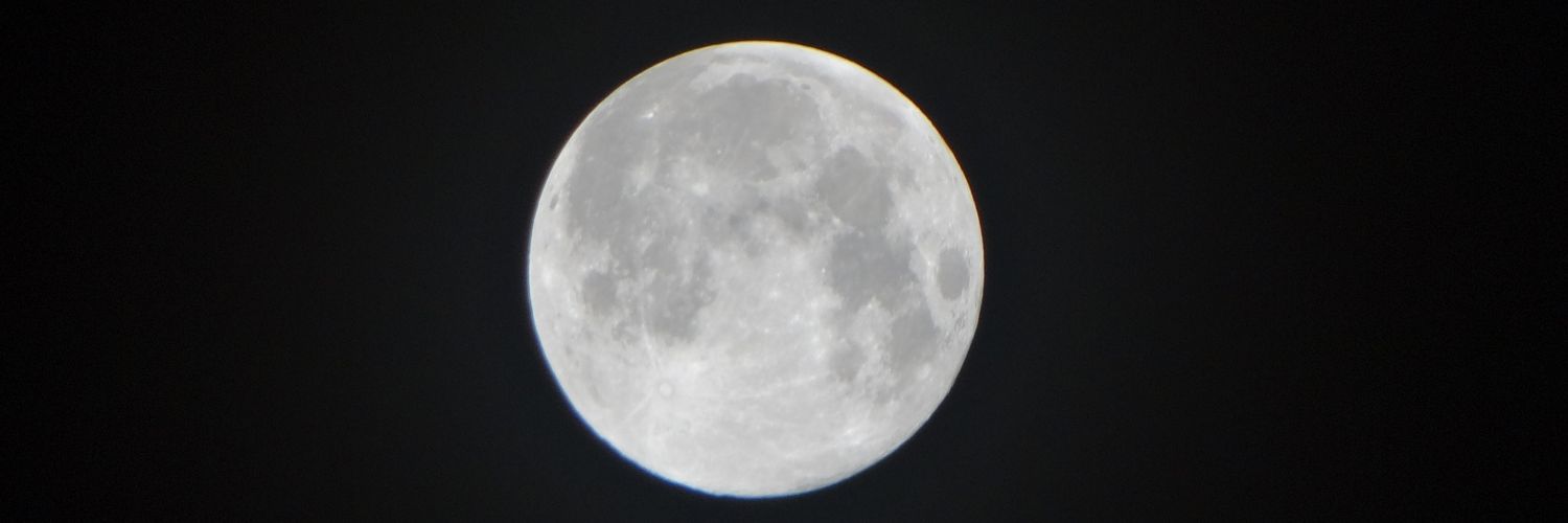 Rosebife's profile banner image