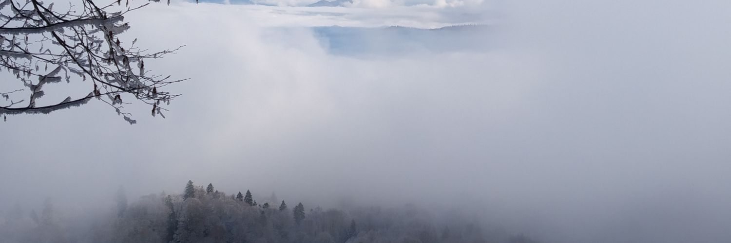 ℝ𝕆𝕊𝕋ОV𝕀𝕋𝔼Z banner