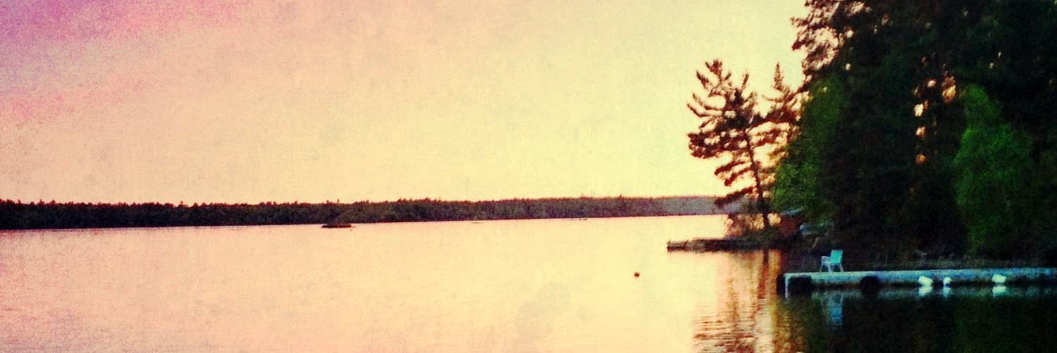 STLFrench's profile banner image