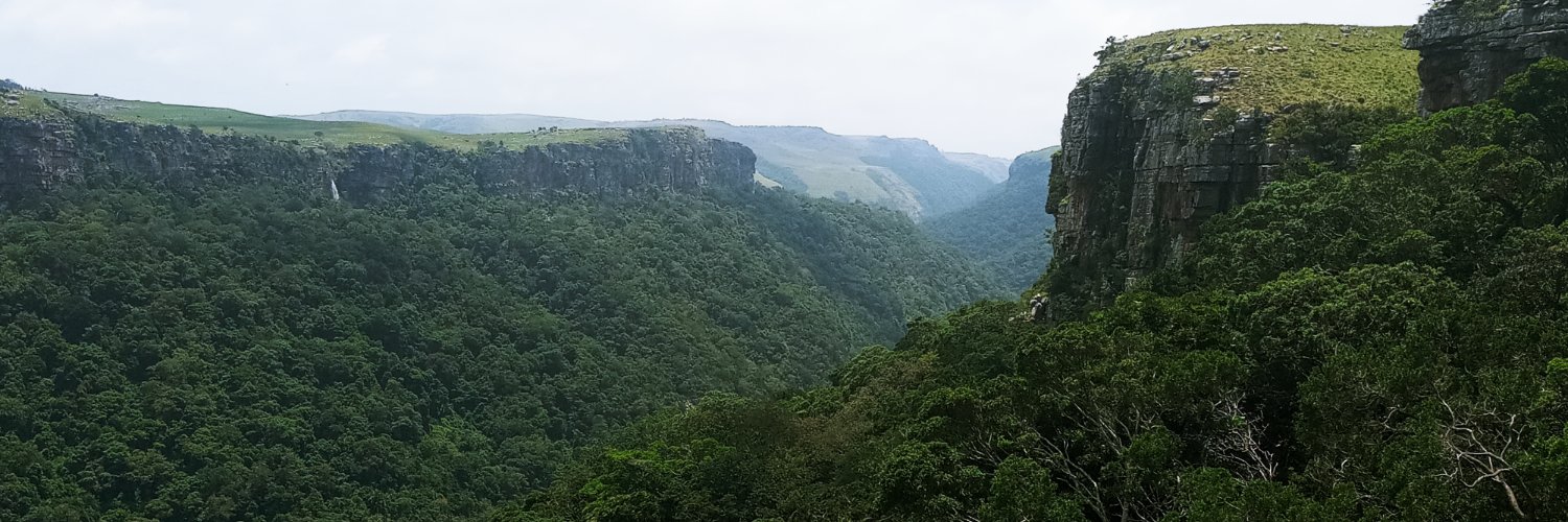 Chevonne Reynolds banner