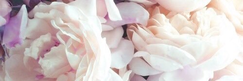 danirussellxo's profile banner image