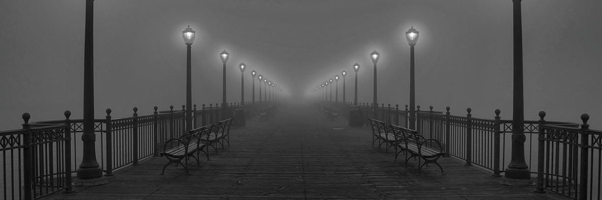 jellyf68's profile banner image