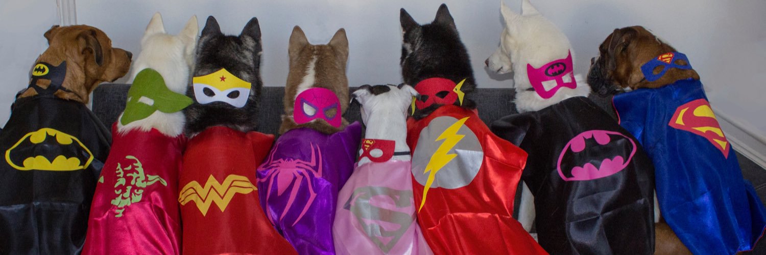 chez_17's profile banner image