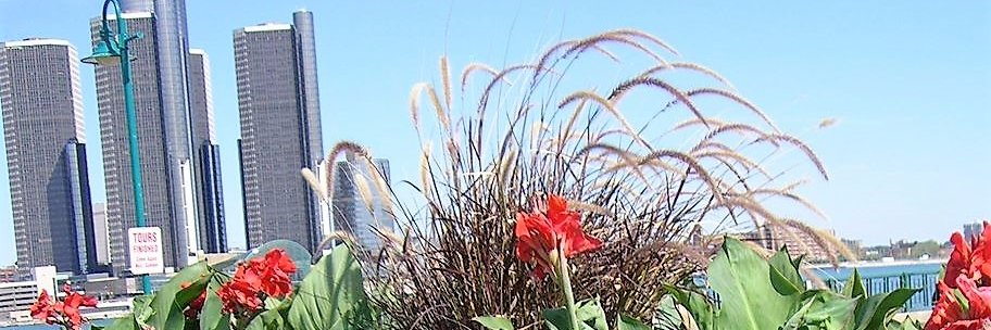 blisschievous's profile banner image